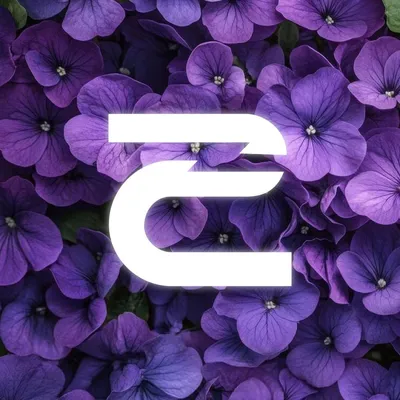 shanttv.com's icon
