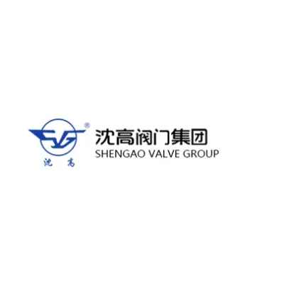 shengao-valve.com's icon