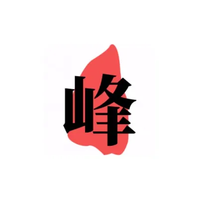 shigaofeng.com's icon
