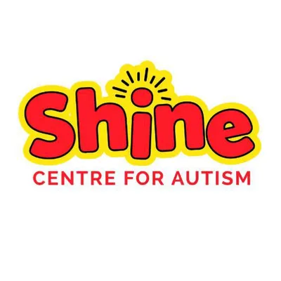 shineireland.com's icon