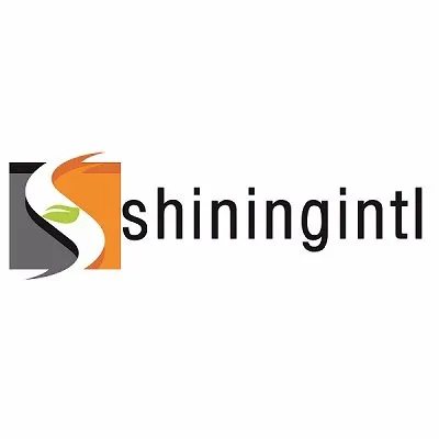 shiningintl.com's icon