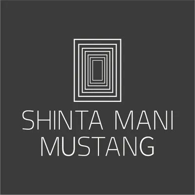 shintamanimustang.com's icon