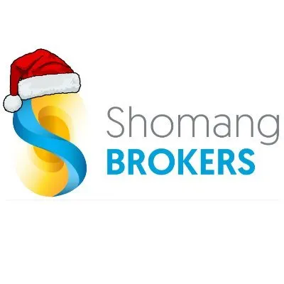 shomanggroup.co.za's icon