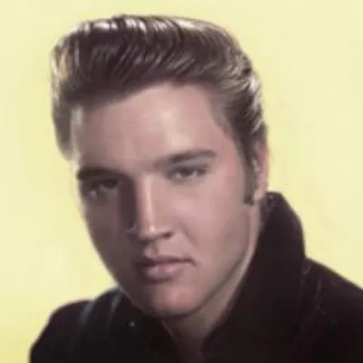 shopelvis.com's icon