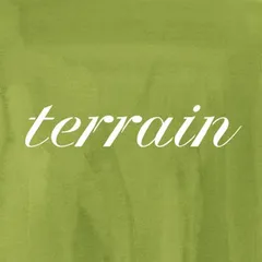 Terrain