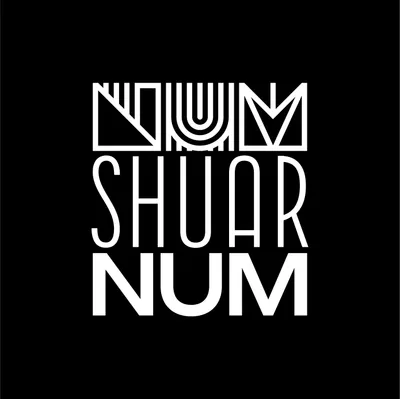 shuarnum.com's icon