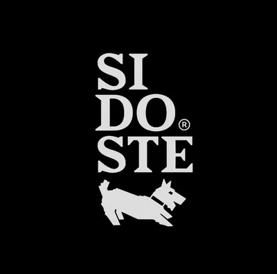 sidoste.com's icon