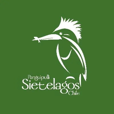 sietelagos.cl's icon