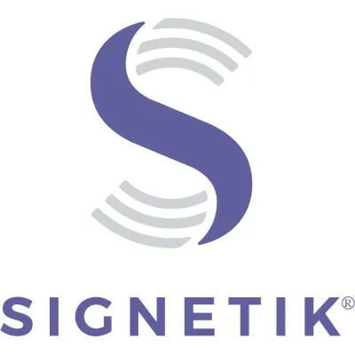signetik.com's icon