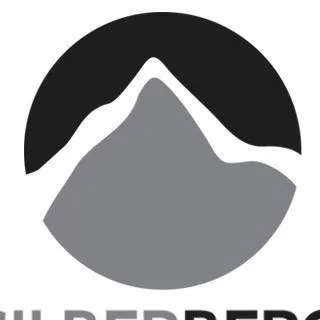 silberbergmontafon.at's icon