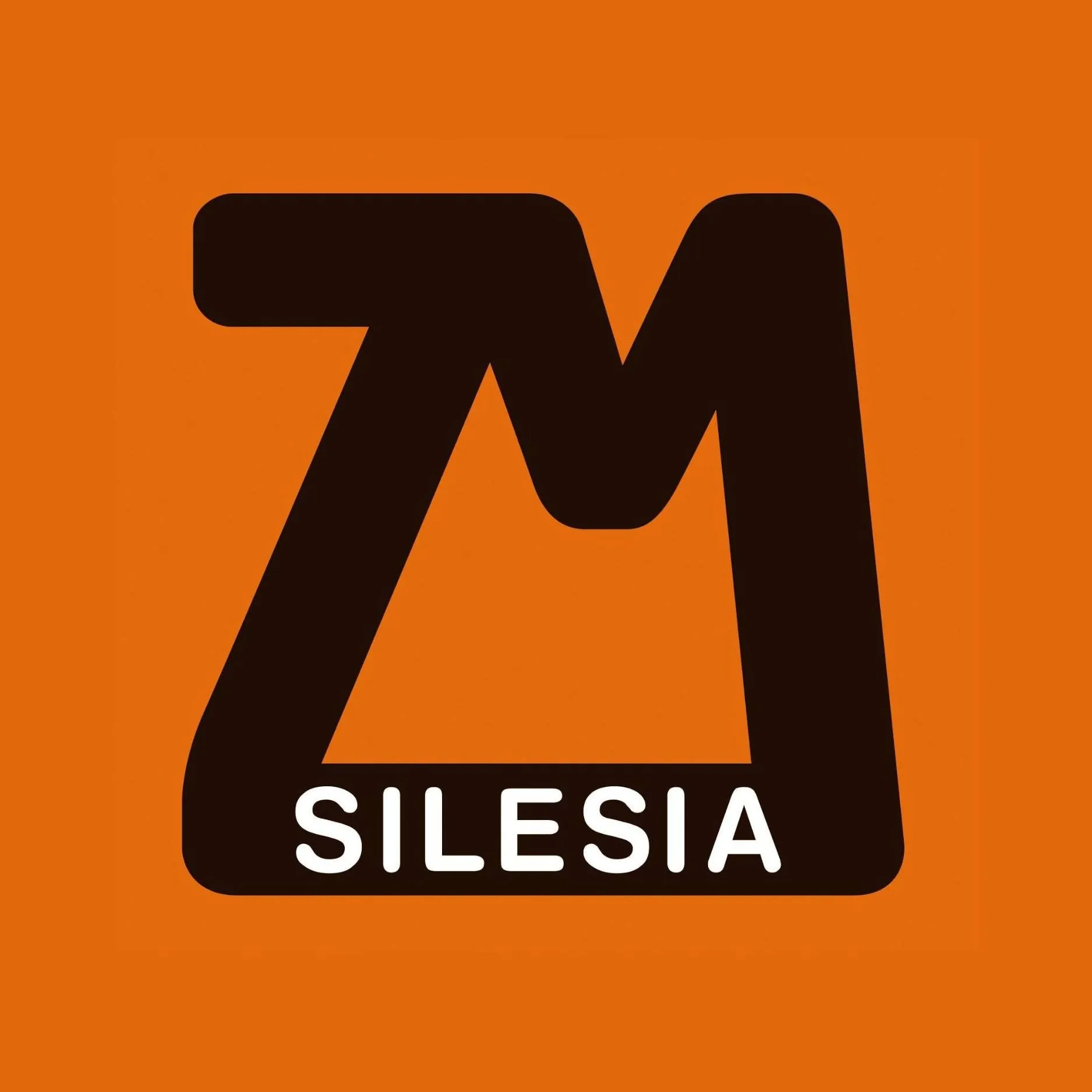 ZM Silesia S.A.