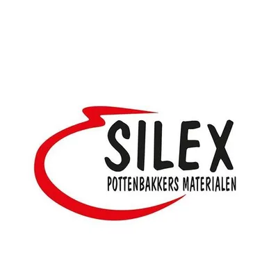 silexshop.nl's icon