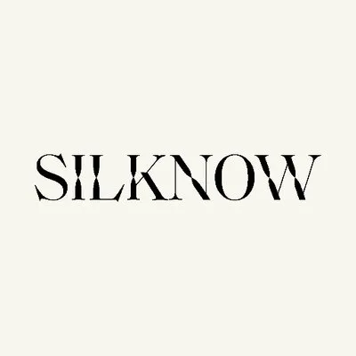 silknow.eu's icon