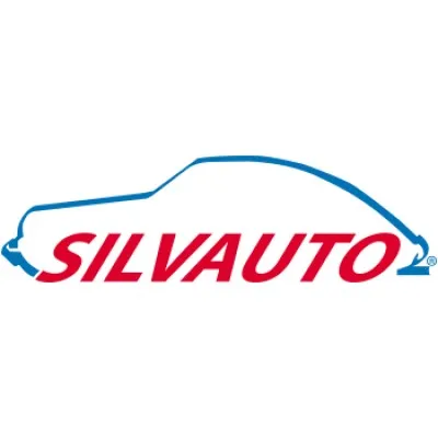 silvauto.it's icon