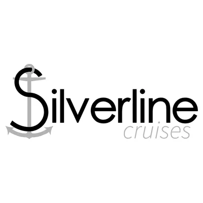 silver-line.hu's icon
