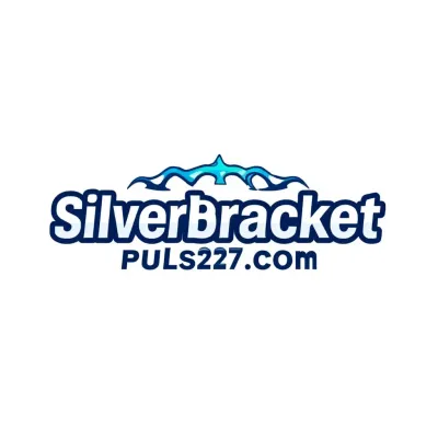 Silver Bracket Pulse 247's icon