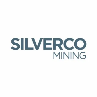 silvercomining.com's icon