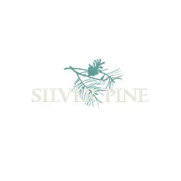 silverpinerealestate.com's icon