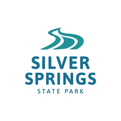 silversprings.com's icon