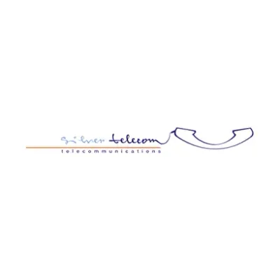 Silver Telecom's icon