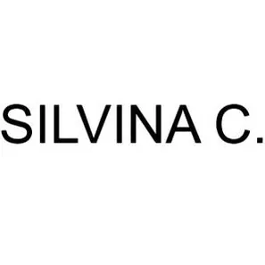 silvinac.com.ar's icon
