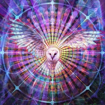 simonhaiduk.com's icon