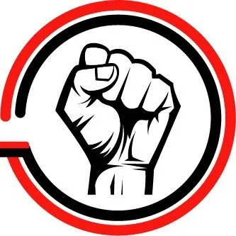 sindesena.org's icon
