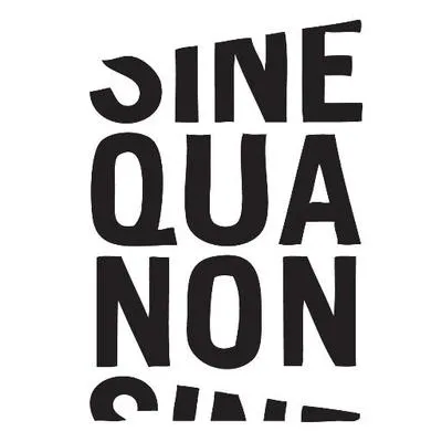 sinequanonsalons.com's icon