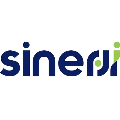 sinerjibt.com's icon