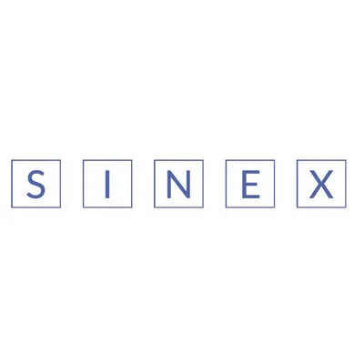 sinex-china.com's icon