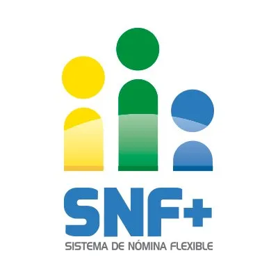sistemanominaflexible.com's icon