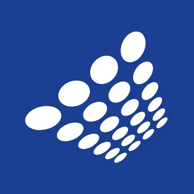 sistemasanaliticos.com.bo's icon