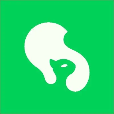 skeelo.com's icon