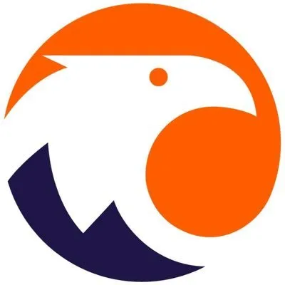 skialpine.com's icon