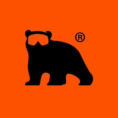 skichalets.nl's icon