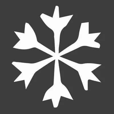 skida.com's icon