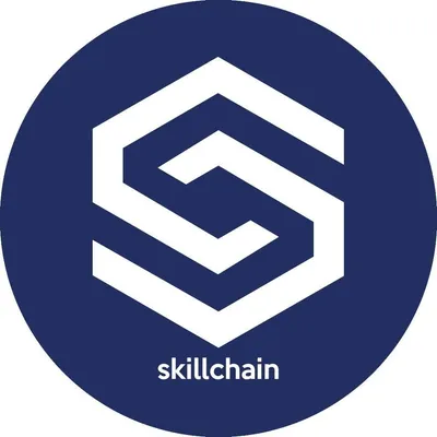 skillchain.io's icon