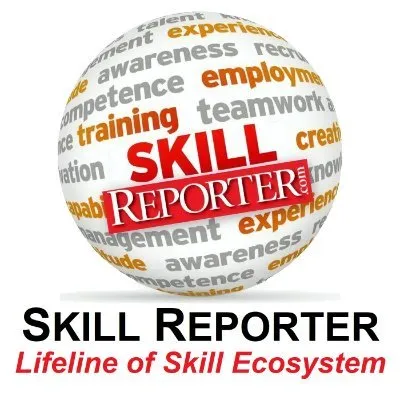 skillreporter.com's icon
