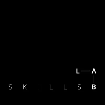 skillslab.lt's icon