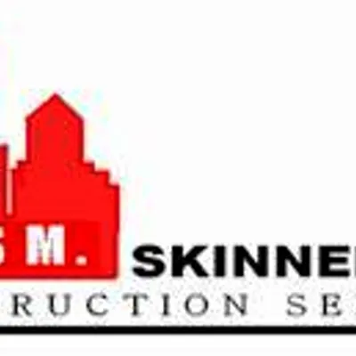 skinneratwork.com's icon