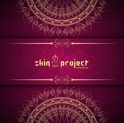 skinproject.fr's icon