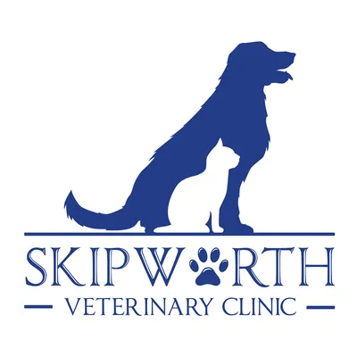 skipdvm.com's icon
