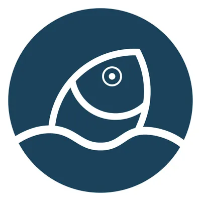 skipjackdigital.com's icon