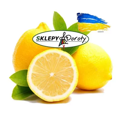 sklepydoroty.com.pl's icon