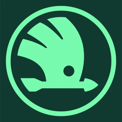 skodaplichta.pl's icon