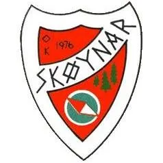 skoynar.no's icon