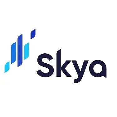 skya.no's icon