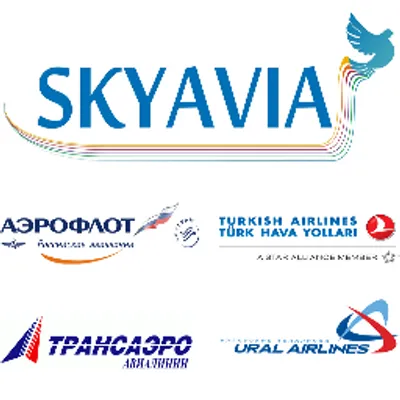 skyavia.com's icon