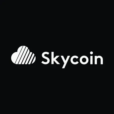 Skycoin's icon