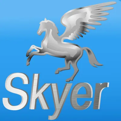 skyermotors.com's icon